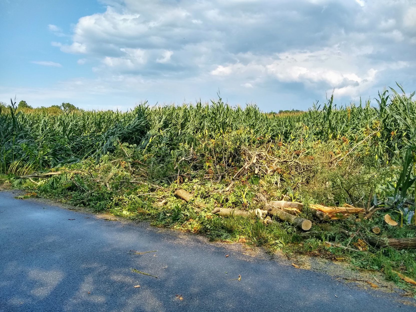 Zion Road Storm Damage